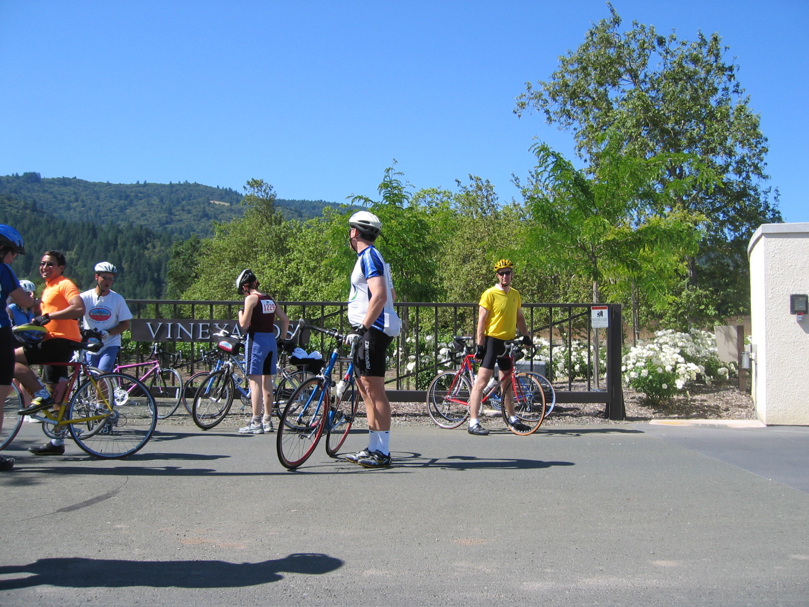 At Sterling Vineyards rest stop