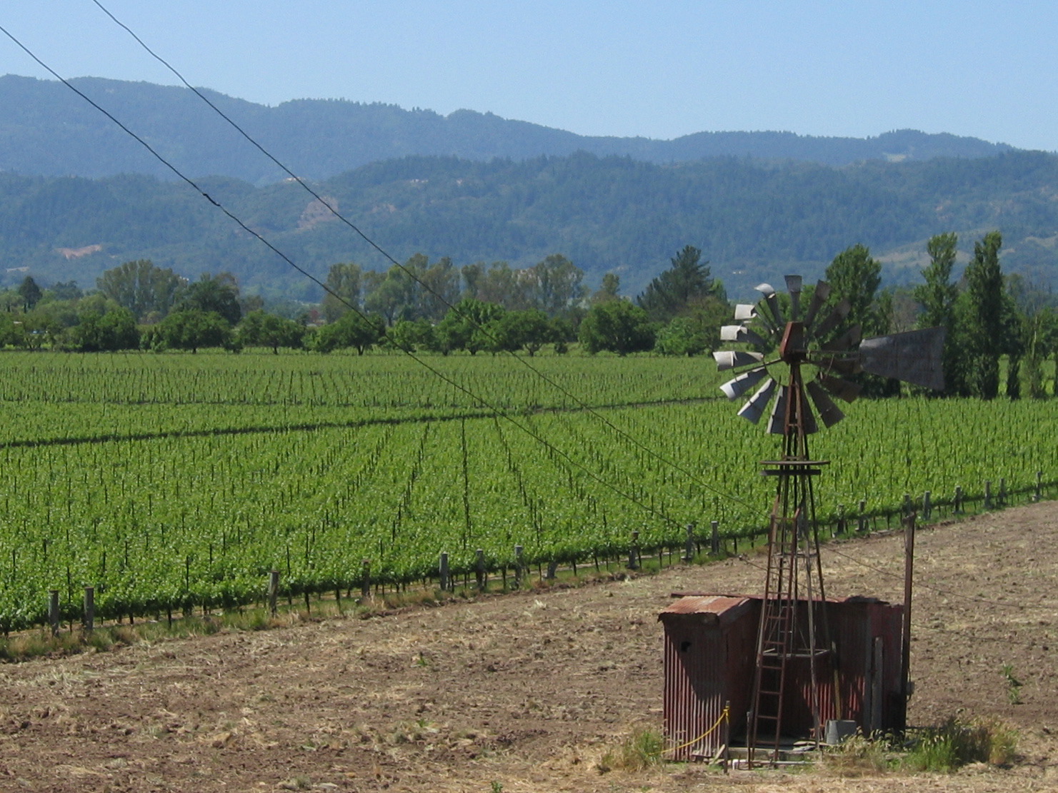 cool windmill